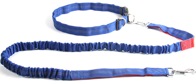 파스텔펫 핸즈프리 허리밴드 반려동물 리드줄세트, E타입, 1개