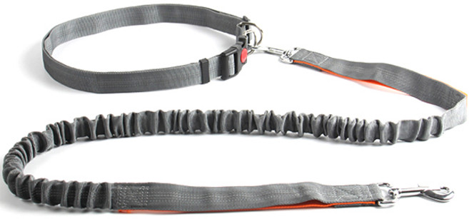 파스텔펫 핸즈프리 허리밴드 반려동물 리드줄세트, G타입, 1개