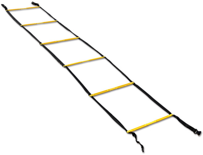 리빙다 트레이닝사다리(연결형), 1개