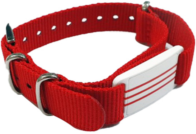 티머니 티티 나토밴드 NT1201, 레드, 1개