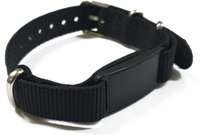 티머니 티티 나토밴드 NT1206, 혼합색상, 1개