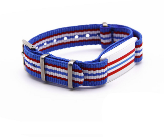 티머니 티티 나토밴드 NT1401, 혼합색상, 1개