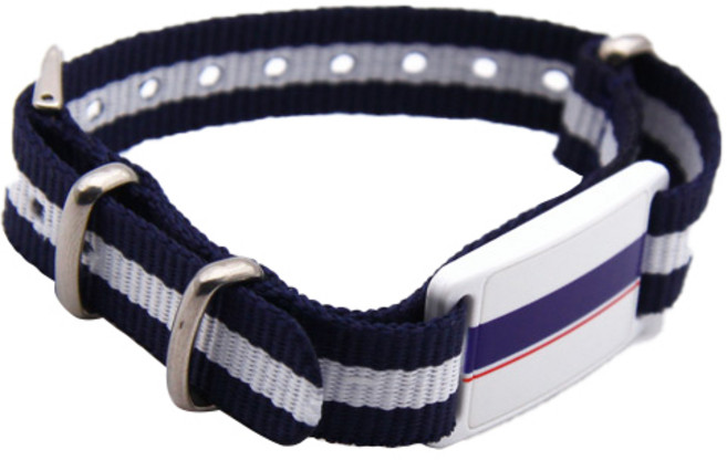 티머니 티티 나토밴드 NT1204, 혼합색상, 1개