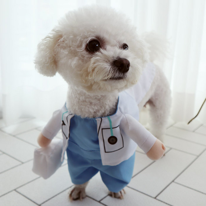 딩동펫 반려동물 코스튬 의상, 의사, 1개