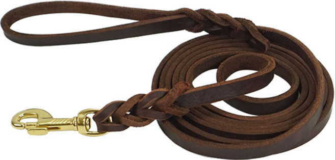 아미펫 반려동물 가죽 리드줄, 1개