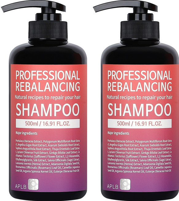 에이플비 프로페셔널 리밸런싱 샴푸, 500ml, 2개