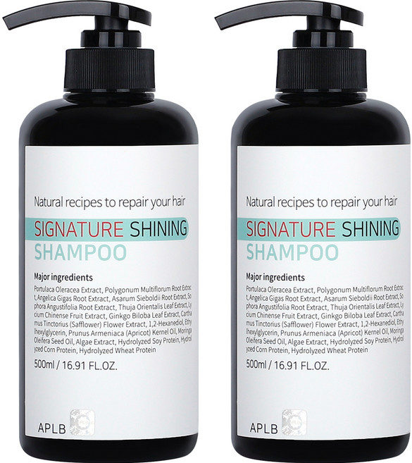 에이플비 시그니처 샤이닝 샴푸, 500ml, 2개