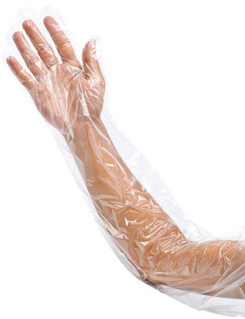 이모쿠비 손팔커버 위생장갑 투명, 50개입, 1개