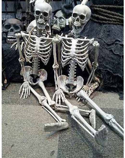 파티쇼 할로윈 리얼 전신 입체 해골모형 소 100cm, 혼합색상, 1개