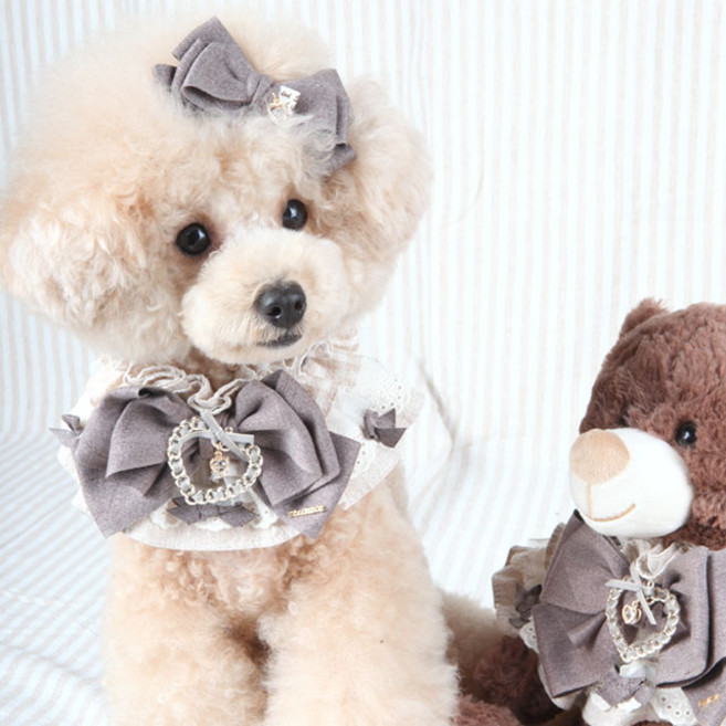 팝앤퍼피 코코하츠 강아지 케이프 M, 브라운, 1개