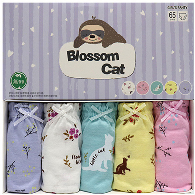 브이언더웨어 여아용 리틀캣 삼각팬티 5종 세트