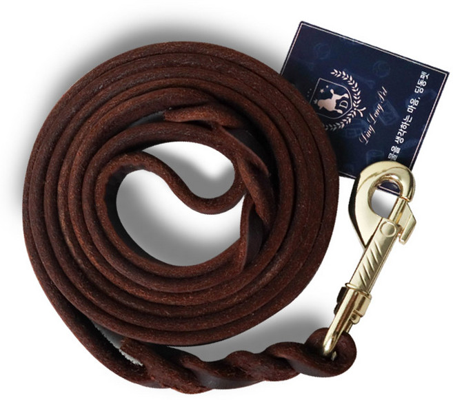 딩동펫 반려동물 가죽 롱 리드줄, 혼합색상, 1개