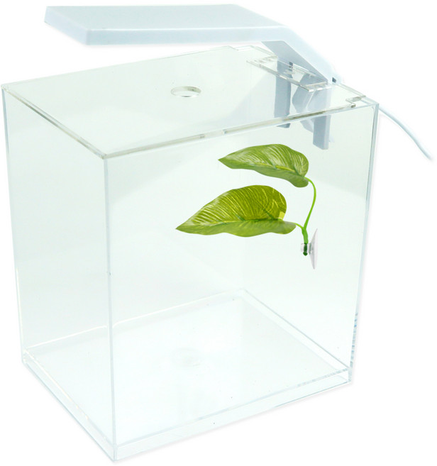 모비딕 베타를 키우자 수조 세트 A, 1개