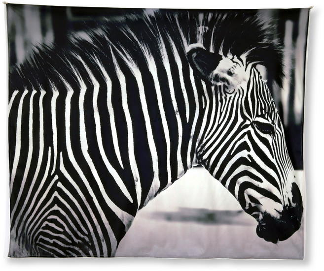 디어트리 대형 패브릭포스터, 46지브라