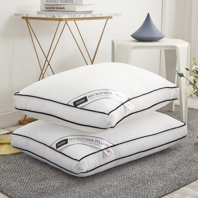 아임리빙 AG프리미엄 중량업 나노 다운필 지퍼형 베개솜, 화이트, 2개