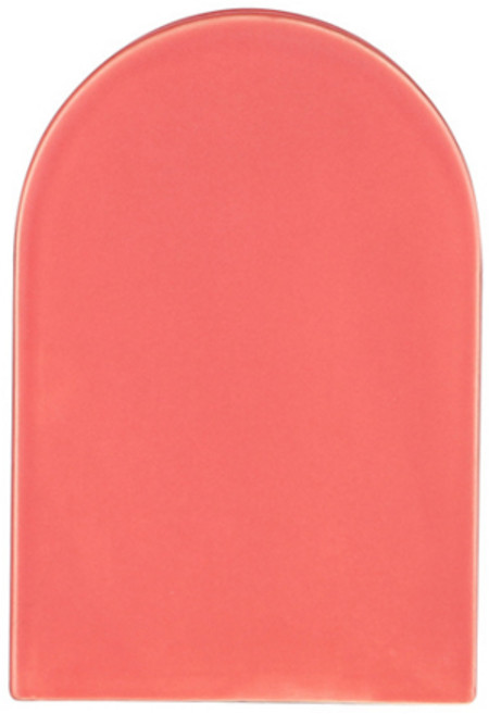 JHCompany 소프트 컬러 앤 디자인 꽃병, 코랄