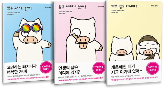 부처와 돼지 신장판 답은 나에게 있어 + 있는 그대로 좋아 + 아무 일도 아니야 세트 전3권, 들녘