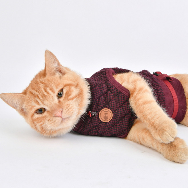 캐츠피아 강아지 고양이 옷 산책 가슴 줄 밤결 하네스 티셔츠 J형, 와인, 1개