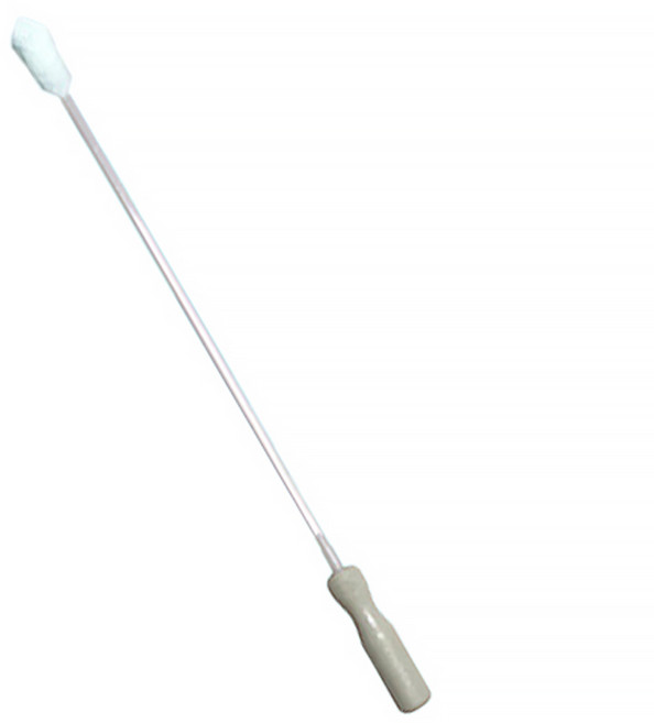 깁스 클렌저, 1개