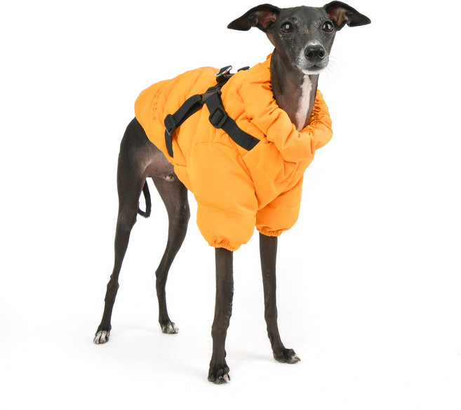 퍼피아 강아지 고양이 소프트 패딩 하네스 점퍼, 오렌지, 1개