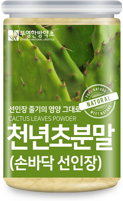 부영한방약초 제주도 손바닥 선인장 천년초 분말, 1개, 200g