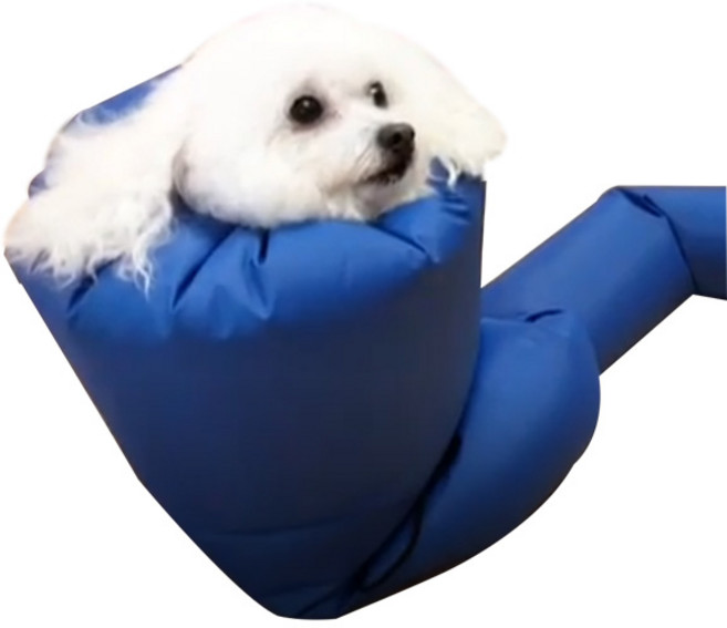 예보들 펫 드라이 룸 S, Blue, 1개