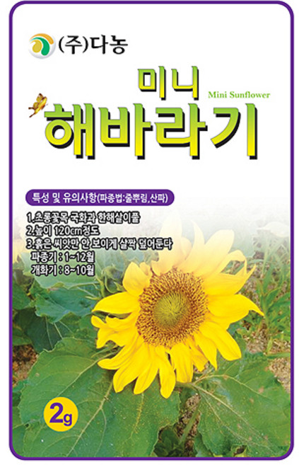 다농 미니 해바라기 씨앗 2g, 1개