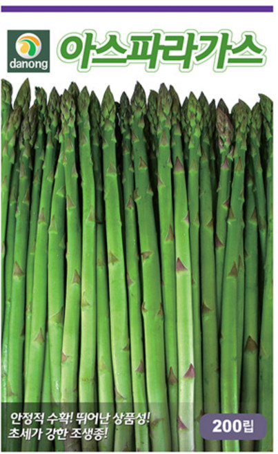 다농 아스파라거스 씨앗 200립, 1개