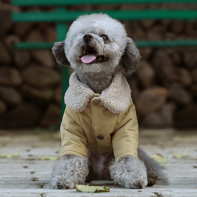 파스텔독 강아지 솔리드 솜털 카라 패딩, 옐로우, 1개