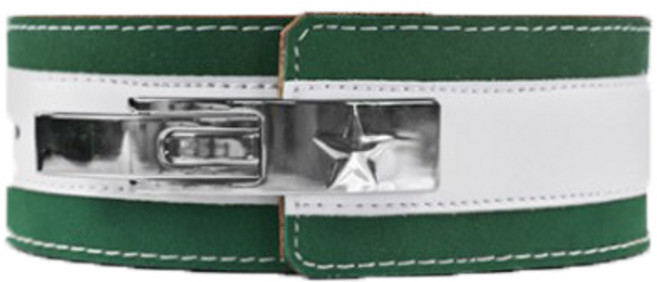 발레오 멀티칼라 역도벨트 S, 그린
