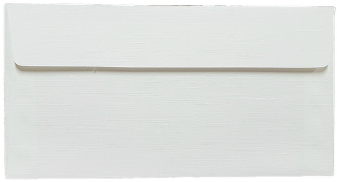 票券式商品禮券 現金 新鈔 答謝禮 外套式合成紙 零用錢信封 175 x 85 mm, 白色, 100個