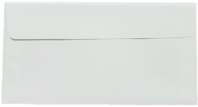 票券式商品券 現金 新鈔 答謝禮 外套式萊薩紙 零用錢信封 175 x 85 mm, 白色橫線, 100個