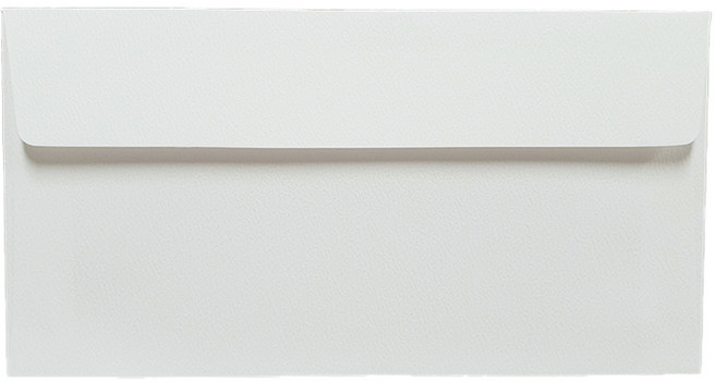 票券式商品禮券賀禮金彈力紙零用錢信封 175 x 85 mm, 白色, 100個