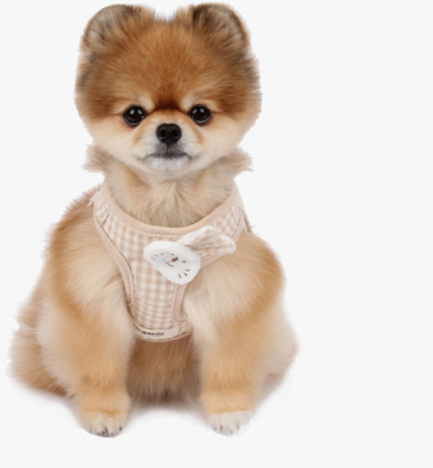 이츠독 강아지 오가닉 바니 하네스, 체크, 1개