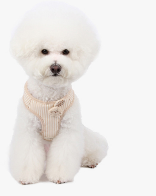 이츠독 강아지 오가닉 바니 하네스, 스트라이프, 1개