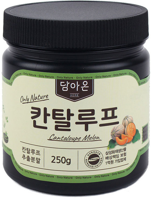 담아온약초 칸탈로프 추출분말, 1개, 250g
