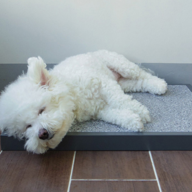 투인플레이스 스틸형 더위사냥 대리석 쿨매트 + 프레임, 어두운계열 + 모던그레이, 1개