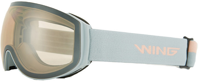 WING 여성 스키 보드 고글 더블렌즈 안경병용 야간, 그레이 + 실버, 1개