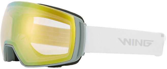 WING 남성 스키 보드 고글 더블렌즈 안경병용 야간, 그레이 + 골드, 1개