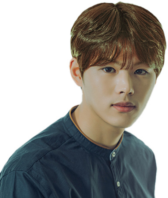 가발나라 볼륨시스루 가르마펌 남자 통가발 M, 카키브라운, 1개