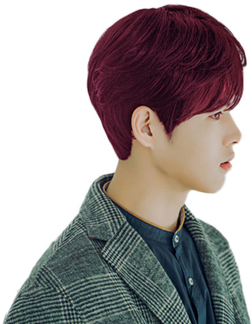 가발나라 볼륨시스루 가르마펌 남자 통가발 L, 딥버건디, 1개