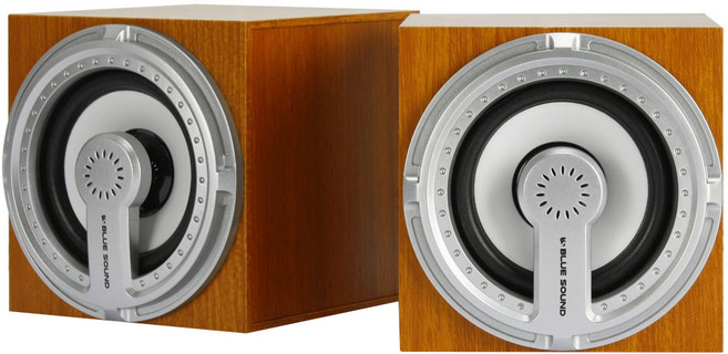 블루사운드 USB 스피커, Wood, BS-S200