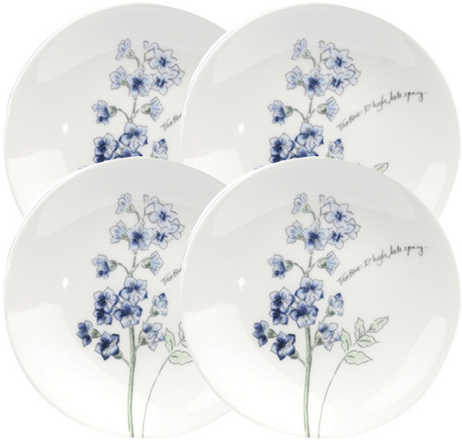 레녹스 아티스트 스케치북 파티접시 4p, 혼합색상, 4개