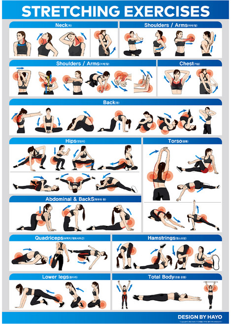 스트레칭 홈트레이닝 포스터 기타헬스소품, 혼합색상, 1개