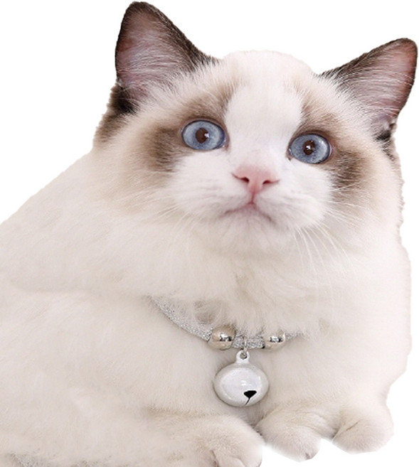 예보들 고양이 방울 목걸이, 화이트, 1개