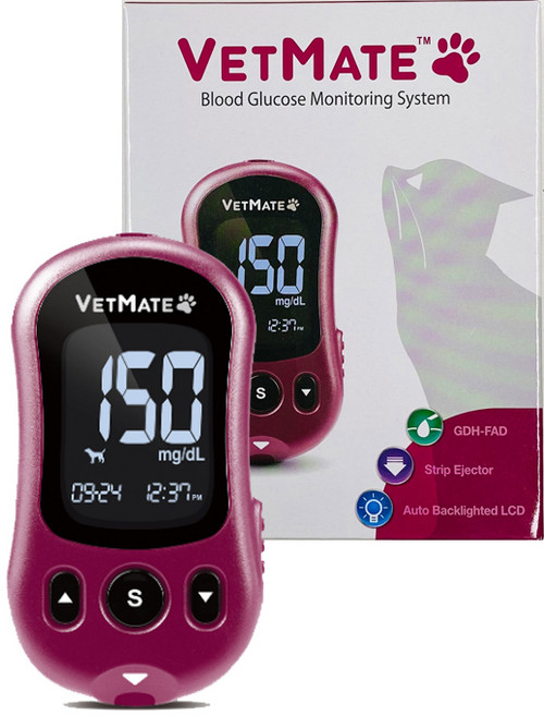isens 벳메이트 반려동물 혈당측정기, 1개