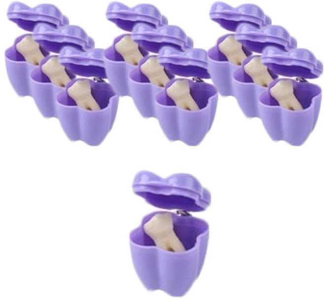 아딘폴리오 치아모양 유치 보관케이스 10p, 퍼플