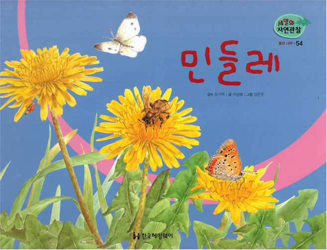 세밀화 자연관찰 54 민들레 꽃과 나무, 한국헤밍웨이
