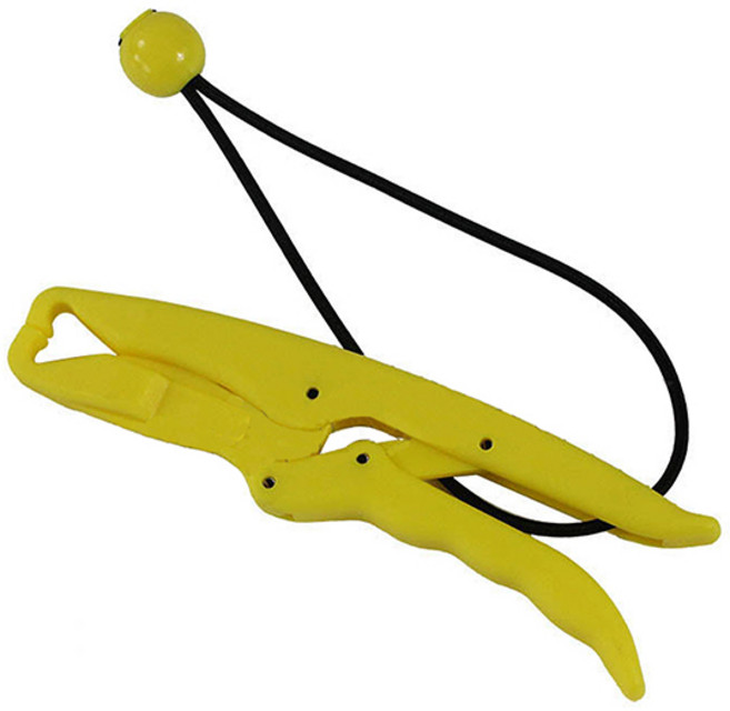 플로팅 립그립, RG-2