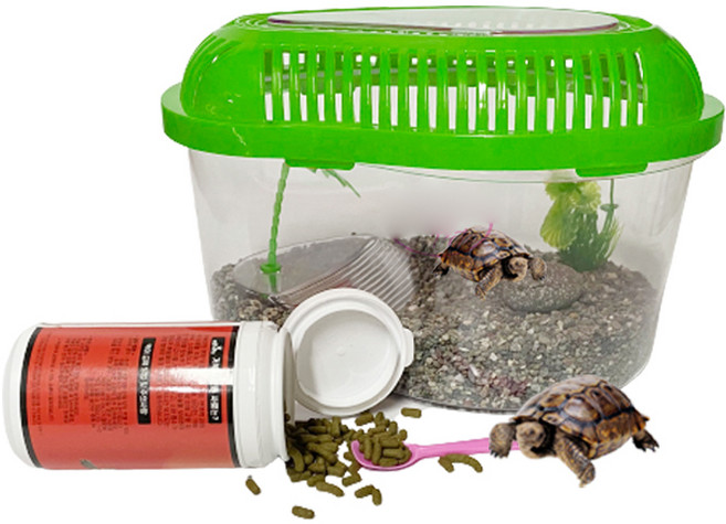 로라펫 거북이 키우기 세트 아일랜드 L, 1세트